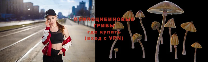 Галлюциногенные грибы Cubensis  Новочебоксарск 